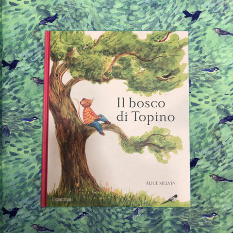 Il bosco di Topino